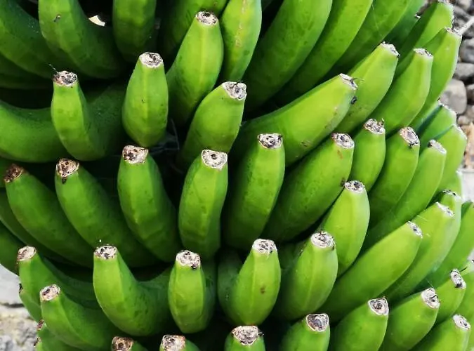 Independent House In Rural Setting アパート