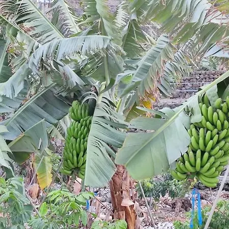 Independent House In Rural Setting Apartament