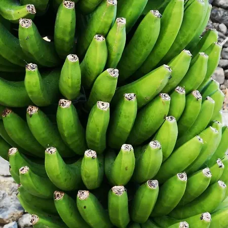 Independent House In Rural Setting شقة