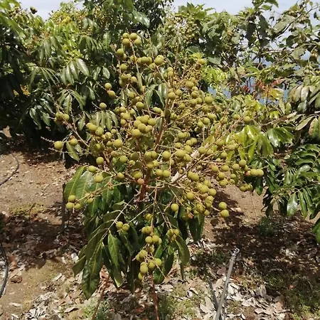 Independent House In Rural Setting Apartament