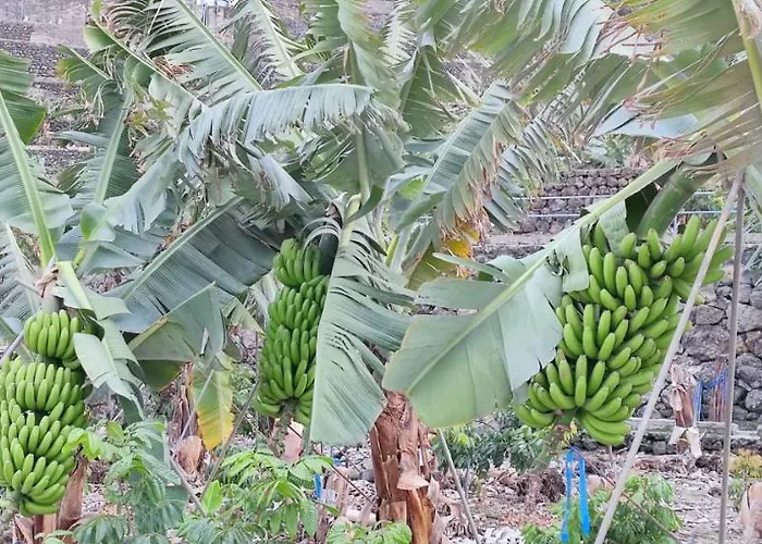 Independent House In Rural Setting Apartment