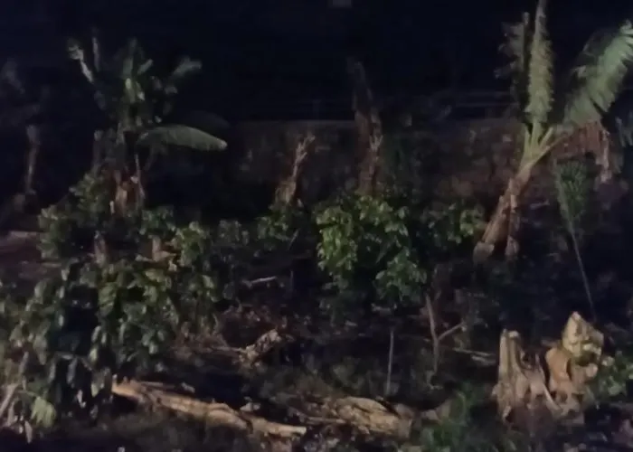 Independent House In Rural Setting *