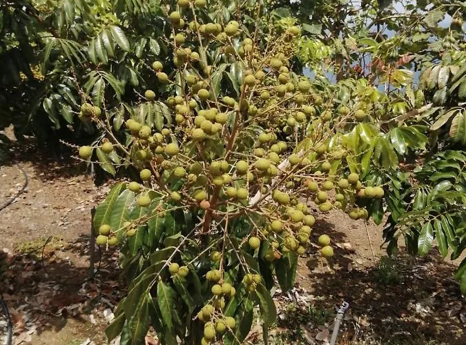 Independent House In Rural Setting Apartment