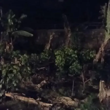 Independent House In Rural Setting *